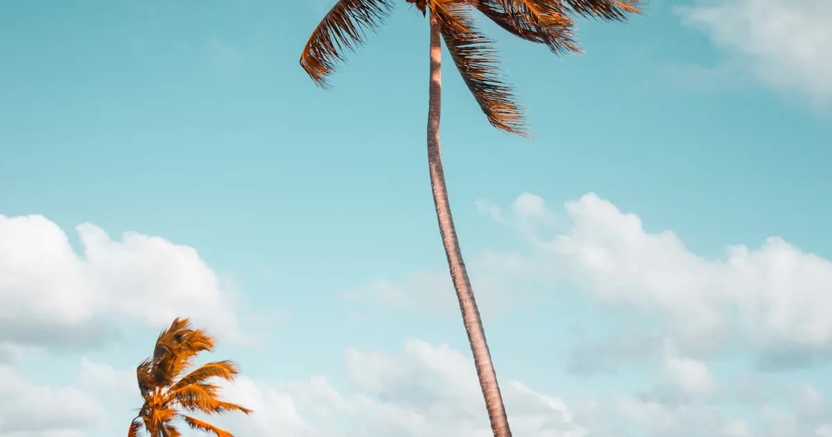 Karpaz Peninsula Road Trip Guide: Journey to the Heart of Nature